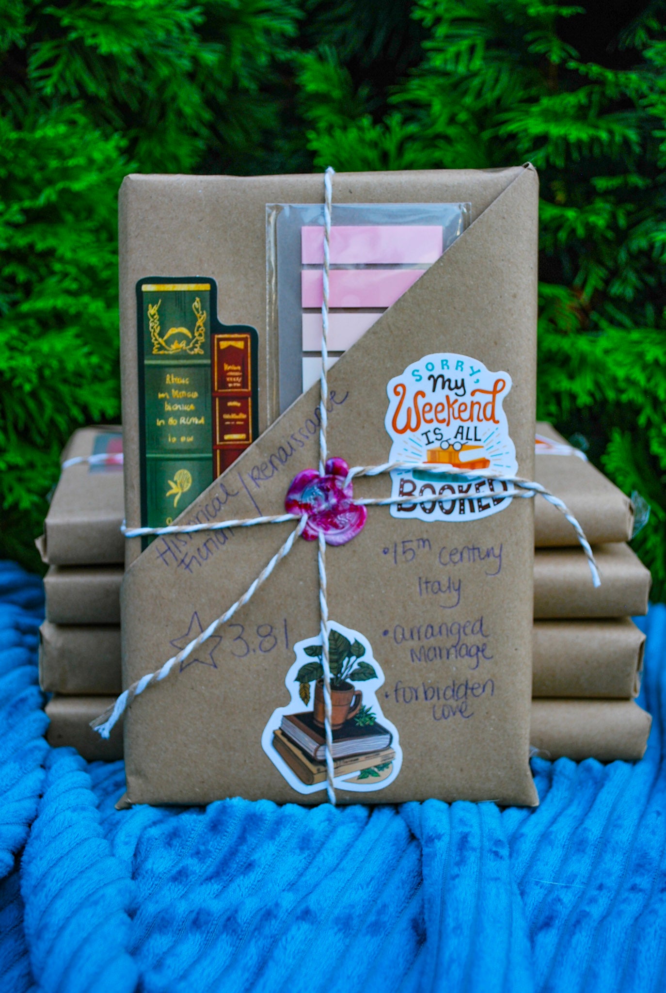 Mystery Thrift - Renaissance