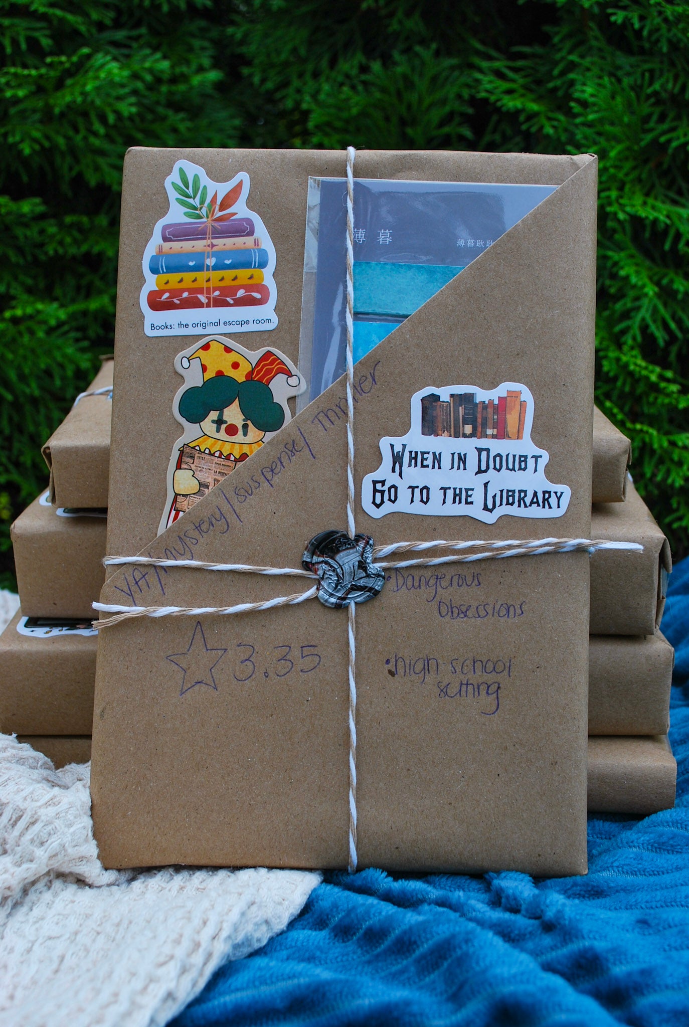 Mystery Thrift - YA / Suspense